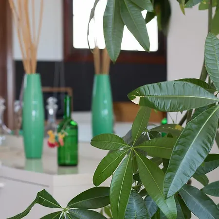 Apartment Lau